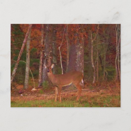 Hirsche, Grüngrasrot und Gold-Blätter Postkarte (Vorderseite)