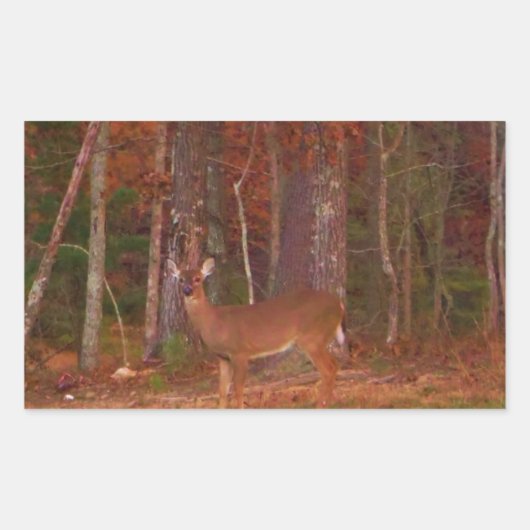 Hirsche, Grüngrasrot und Gold-Blätter Rechteckiger Aufkleber (Vorderseite)