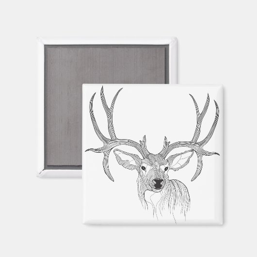 Hirsche, Hirschjagd, Maultier, Hirsche, Weißer Sch Magnet (Vorderseite/Rückseite)