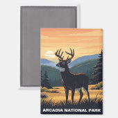 Hirsche im Arcadia-Nationalpark Magnet (Vorderseite/Rückseite)