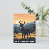 Hirsche im Arcadia-Nationalpark Postkarte (Stehend Vorderseite)