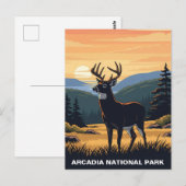 Hirsche im Arcadia-Nationalpark Postkarte (Vorne/Hinten)
