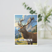 Hirsche im Écrins Nationalpark Frankreich Postkarte (Stehend Vorderseite)