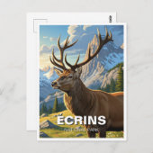 Hirsche im Écrins Nationalpark Frankreich Postkarte (Vorne/Hinten)