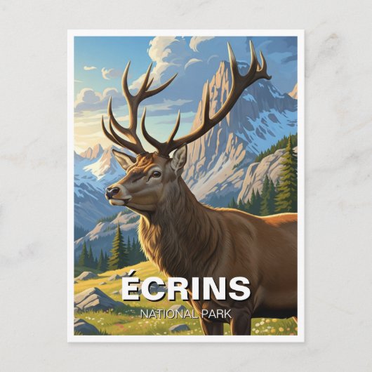 Hirsche im Écrins Nationalpark Frankreich Postkarte (Vorderseite)