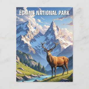 Hirsche im Écrins Nationalpark Frankreich Postkarte
