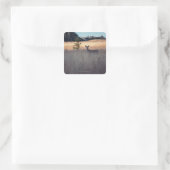 Hirsche im Feld des großen Grases Quadratischer Aufkleber (Tasche)