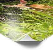 Hirsche im Gras Fotodruck (Ecke)