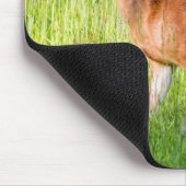 Hirsche im großen Gras Mousepad (Ecke)