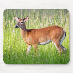Hirsche im großen Gras Mousepad