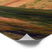 Hirsche im Herbst.... Poster (Ecke)