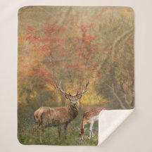 Hirsche im Herbstwald