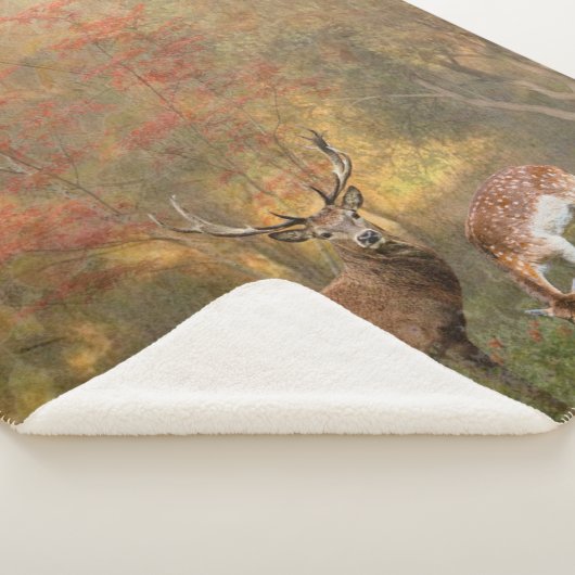 Hirsche im Herbstwald Sherpadecke (3/4)