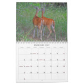 Hirsche im Kalender der wilden Fotografie (Feb 2027)