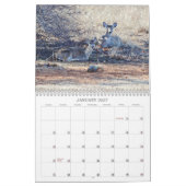 Hirsche im Kalender der wilden Fotografie (Jan 2027)