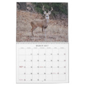 Hirsche im Kalender der wilden Fotografie (Mär 2027)