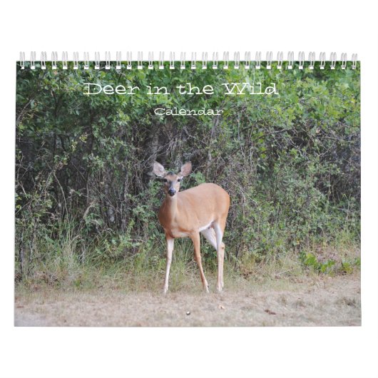 Hirsche im Kalender der wilden Fotografie (Titelbild)