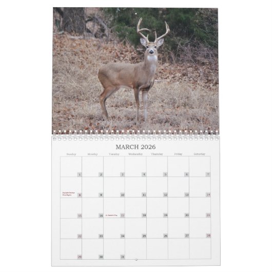 Hirsche im Kalender der wilden Fotografie (Mär 2026)