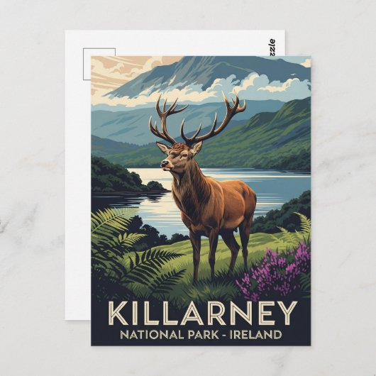 Hirsche im Killarney National Park Irland Travel Postkarte (Vorne/Hinten)