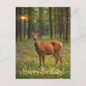 Hirsche im Magischen Wald Postkarte (Vorderseite)