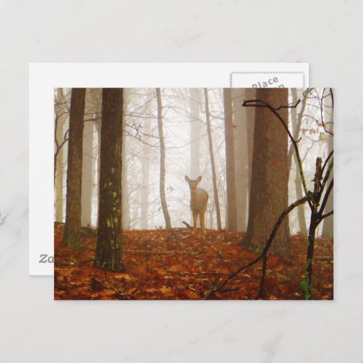 Hirsche im Mist Postkarte (Vorne/Hinten)