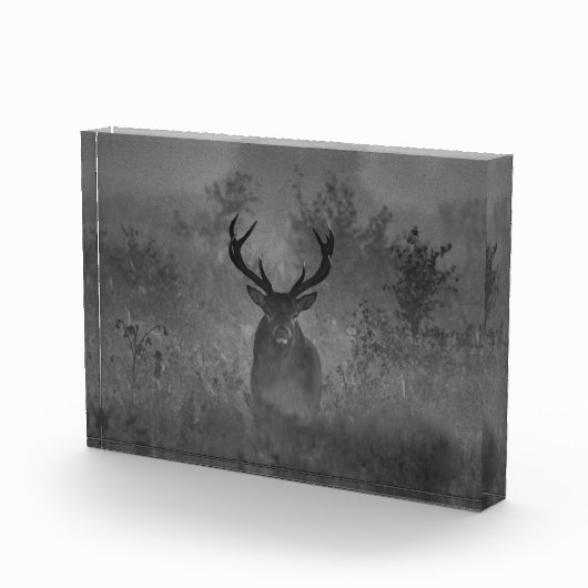 Hirsche im Nebel Fotoblock (Rechts)