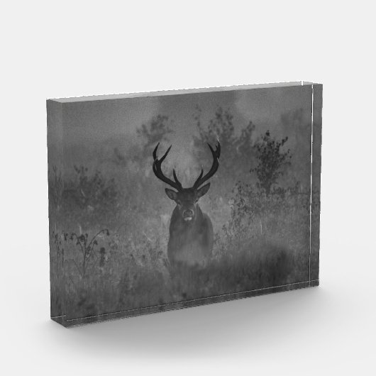 Hirsche im Nebel Fotoblock (Links)