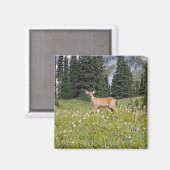 Hirsche im Paradise Park Magnet (Vorderseite/Rückseite)