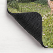 Hirsche im Paradise Park Mousepad (Ecke)