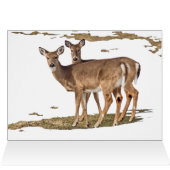 Hirsche im Schnee (Innenansicht Horizontal (Oben))