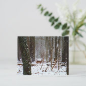 Hirsche im Schnee fallen Postkarte (Stehend Vorderseite)