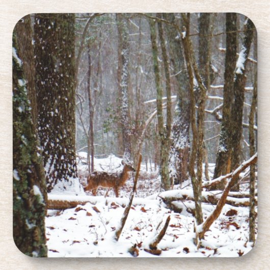 Hirsche im Schnee fallen Untersetzer (Vorderseite)