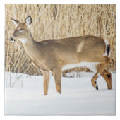 Hirsche im Schnee Fliese (Vorderseite)