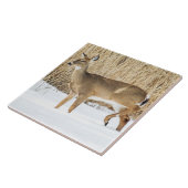 Hirsche im Schnee Fliese (Seite)