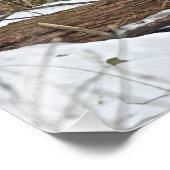 Hirsche im Schnee Fotodruck (Ecke)