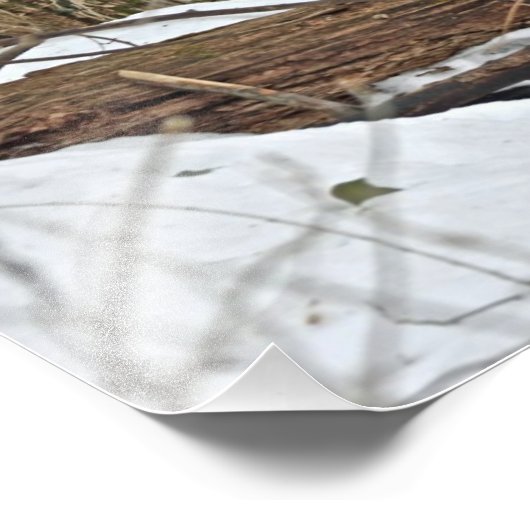 Hirsche im Schnee Fotodruck (Ecke)