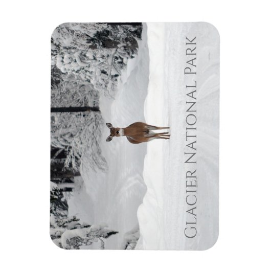 Hirsche im Schnee, Glacier National Park Magnet (Vertikal)
