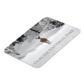 Hirsche im Schnee, Glacier National Park Magnet (Linke Seite)