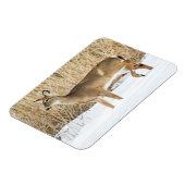 Hirsche im Schnee Magnet (Linke Seite)