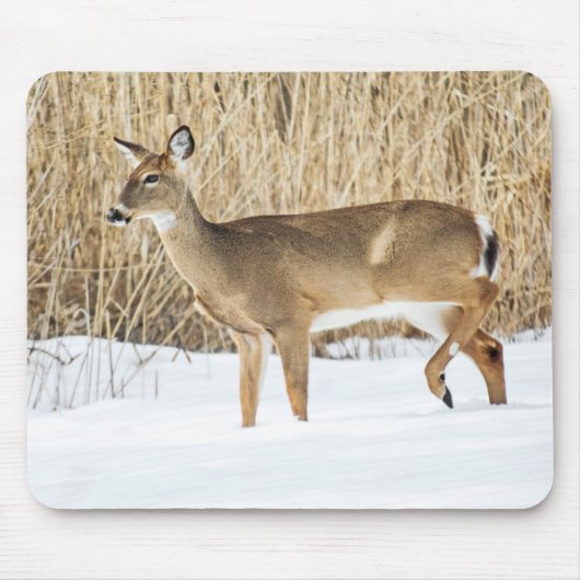 Hirsche im Schnee Mousepad (Vorne)