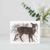 Hirsche im Schnee Postkarte (Stehend Vorderseite)