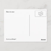 Hirsche im Schnee Postkarte (Rückseite)