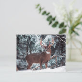 Hirsche im Schnee Postkarte (Stehend Vorderseite)