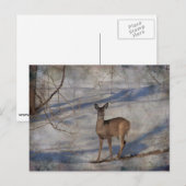 Hirsche im Schnee Postkarte (Vorne/Hinten)