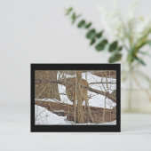 Hirsche im Schnee Postkarte (Stehend Vorderseite)