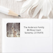 Hirsche im Schnee Weihnachten (Insitu)