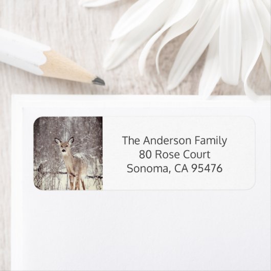 Hirsche im Schnee Weihnachten (Insitu)