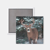 Hirsche im Schneemagnet Magnet (Vorderseite/Rückseite)
