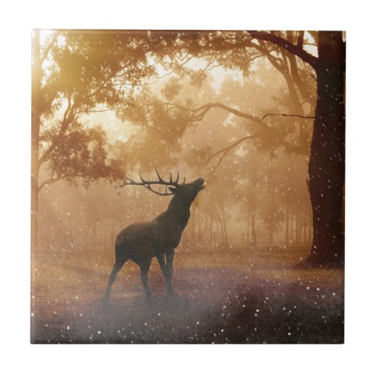 Hirsche im Wald Fliese (Vorderseite)