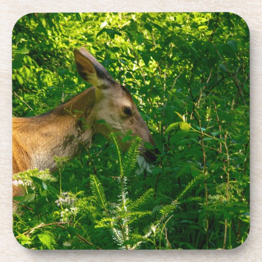 Hirsche im Wald. Getränkeuntersetzer (Vorderseite)